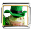  St   Patricks   Day  Frog Photo Italian Charm
