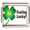Feeling  Lucky  Irish Clover Photo Italian Charm