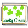  Lucky  Charm Clovers Photo Italian