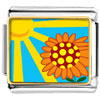  Sunflower  In Sunlight Photo Italian Charm