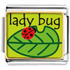 Lady Bug On Leaf Photo Italian Charm