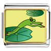 Jumping Frog Photo Italian Charm