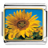 Happy Sunflower Photo Italian Charm