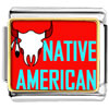 Native  American  Bull Photo Italian Charm