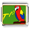 Tio Speaking Parrot Photo Italian Charm
