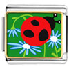 Curious Ladybug Photo Italian Charm