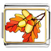 Autumn Fall Acorn Leaves Photo Italian Charm