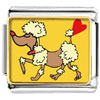 Toy Poodle Dog Photo Italian Charm