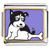 Alaskan Husky Dog Photo Italian Charm