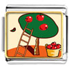 Apples On Tree Photo Italian Charm