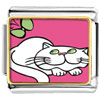 Persian Cat Photo  Italian  Charm