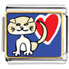 Scottish Fold Cat Photo Italian Charm
