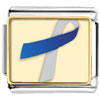 Blue And  Silver  Ribbon Awareness Photo Italian Charm