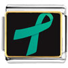  Teal  Ribbon Awareness Photo Italian Charm