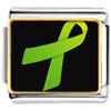  Lime   Green  Ribbon Awareness Photo Italian Charm