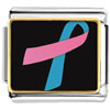  Pink  And  Blue  Ribbon Awareness Photo Italian Charm