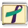 Purple And  Teal  Ribbon Awareness Photo Italian Charm