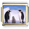 Gold Plated Animal Penguin In Antarctica Photo Italian Charm Bracelets