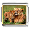  Gold  Plated Animal Cub Photo Italian  Charm   Bracelets  VPH2239