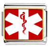 Gold Plated Sign Medical Alert Photo Italian Charm Bracelets