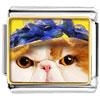  Kitten  Photo Italian Charm VPH2269