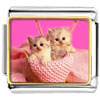 Kittens Photo Italian Charm