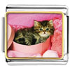 Tabby Cat Photo Italian Charm
