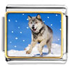 Running Wolf Photo Italian Charm