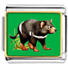 Racoon Photo Italian Charm