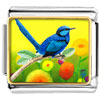 Thrush Photo Italian Charm