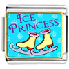 Ice Princess Photo Italian Charm