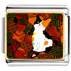Color  Kitten  Photo Italian Charm
