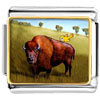 Buffalo And Bird Photo Italian Charm