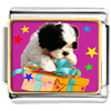 Poodle And  Present  Photo  Italian   Charm 