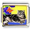 Cat Photo Italian Charm