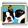 Boston Terrier Photo Italian Charm VPH2361