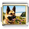 Dog Photo Italian Charm VPH2368