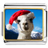 Sheep Photo Italian Charm