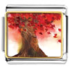 Beautiful Red Maple Tree Photo Italian Charm