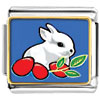 White Bunny Rabbit Eating Red Carrots Photo Italian Charm