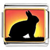 Golden Sunset Burning Across The Rabbit Photo Italian Charm