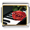 Red Rose On White And Black Piano Keys Photo Italian Charm