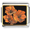 Triple Beautiful Jacinth Flowers Photo Italian Charm