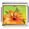 Beautiful Orange Flower And Green Leaves Photo Italian Charm
