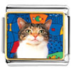 White Striped Cat Photo Italian Charm
