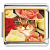 Cat Bouquet Photo Italian Charm