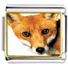 Red Fox Photo Italian Charm