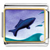 Jumping Fish Photo Italian Charm