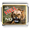 Oh Hell No Lion Charm Photo Italian Charm