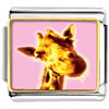 Giraffe Smile Photo Italian Charm